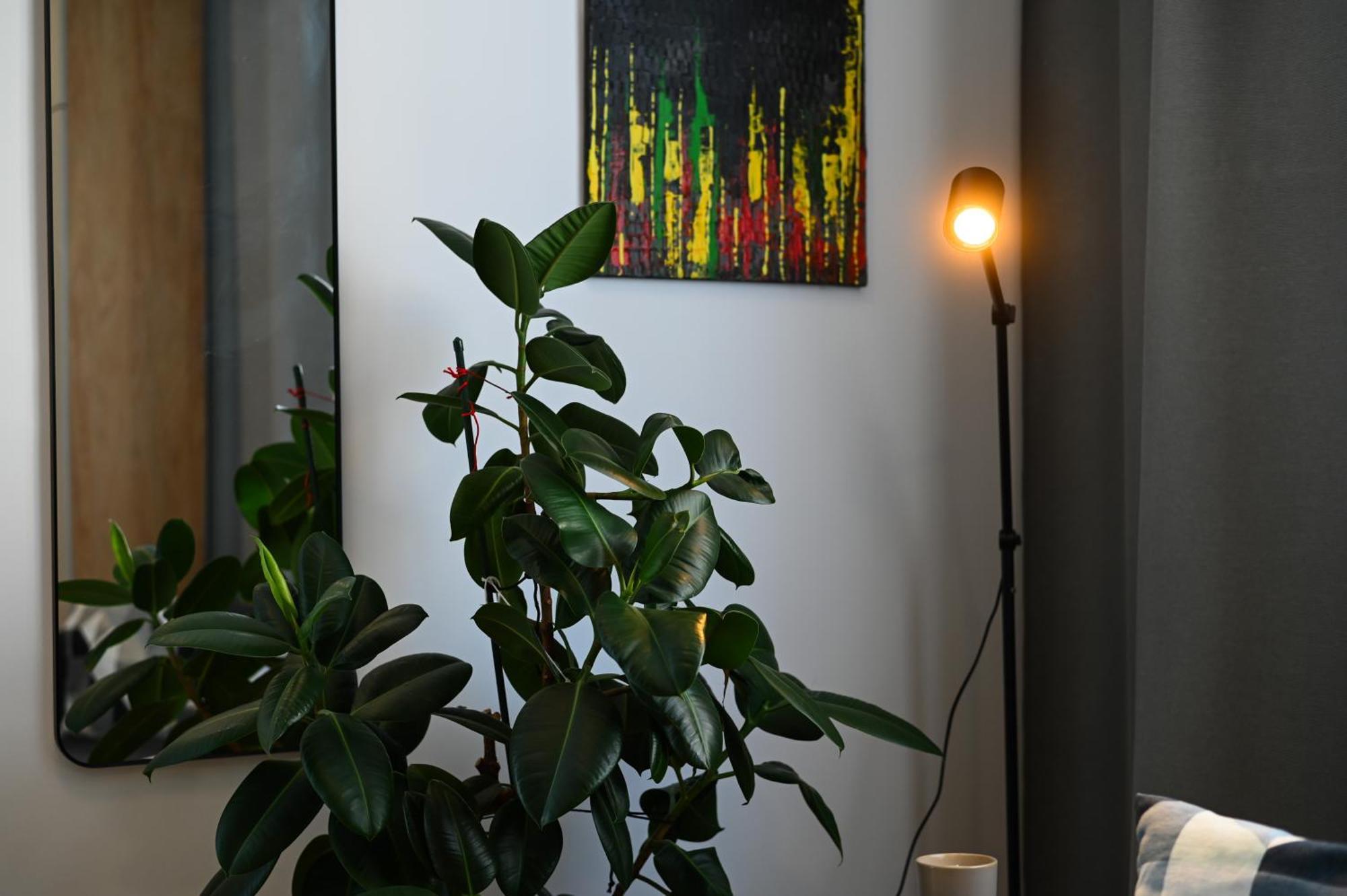 City Center Studio - Comfy & Modern Bratislava Exterior foto